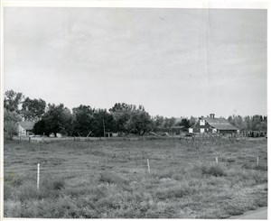 Image description is not available for PHO-4-W689-337